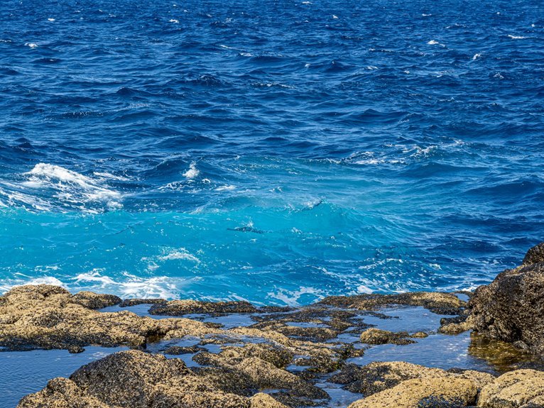 saltwater pool considerations revealed